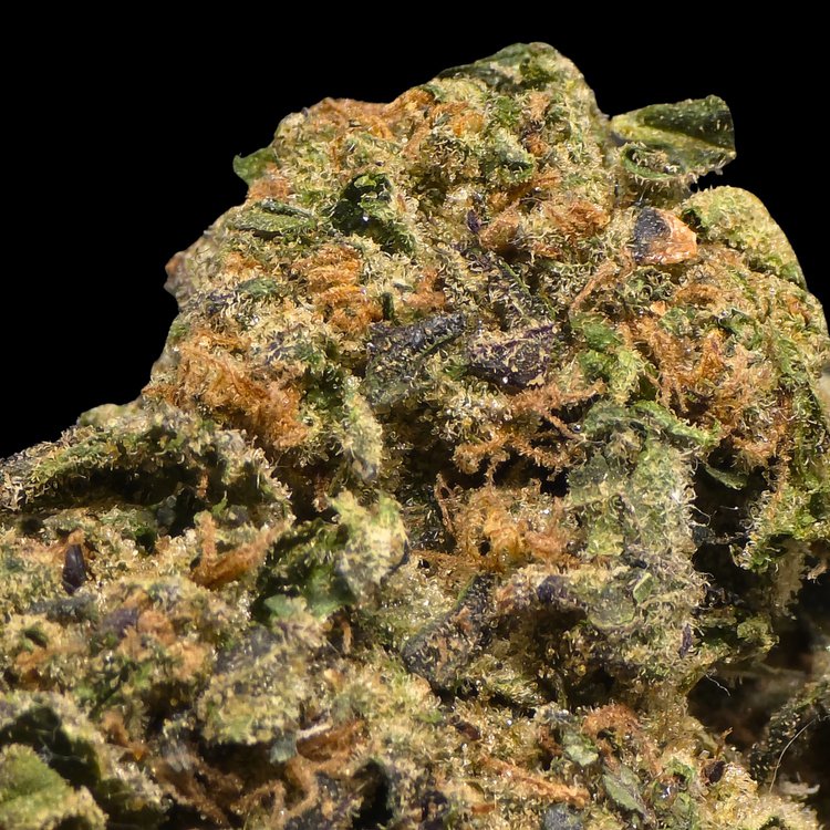 Purple Ghost Candy