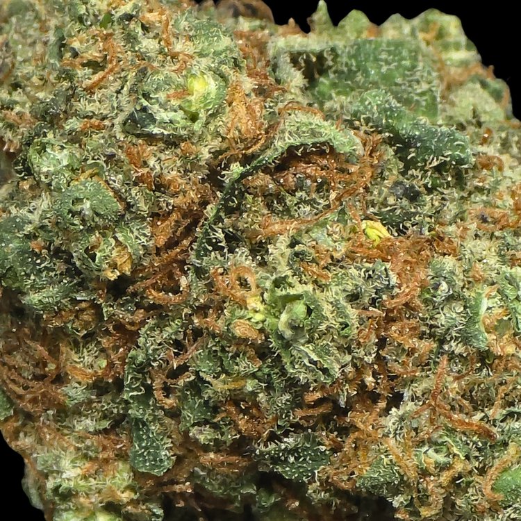 Lemon Cherry Gelato