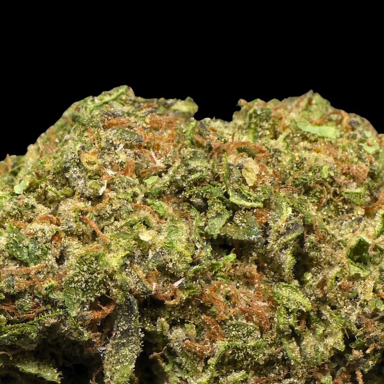 TropiCali