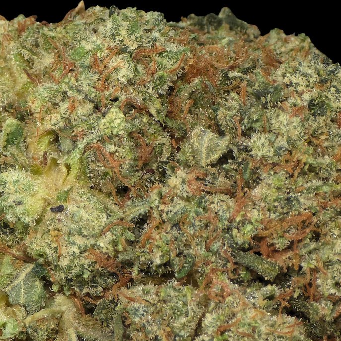 Super Glue
