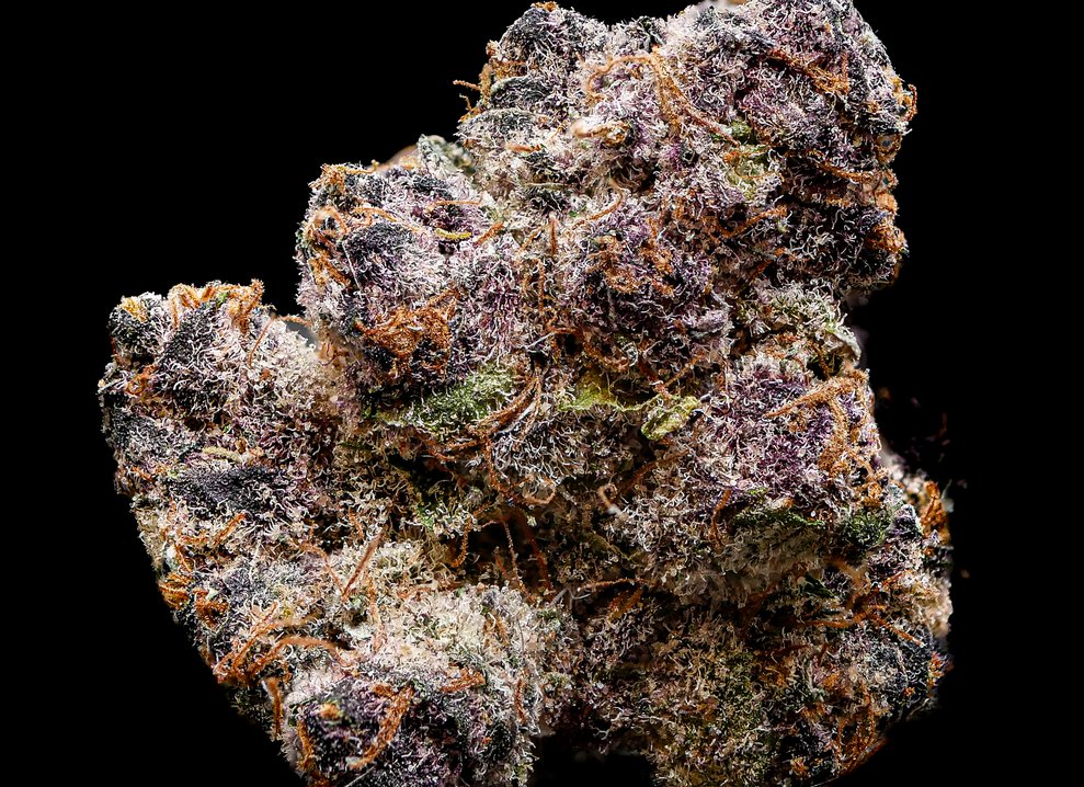 premier-smoke-shop-rochester-ny-wowrochester
