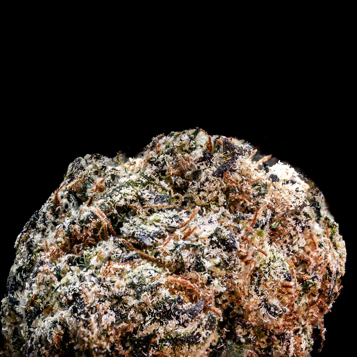Alien OG (Hybrid)
