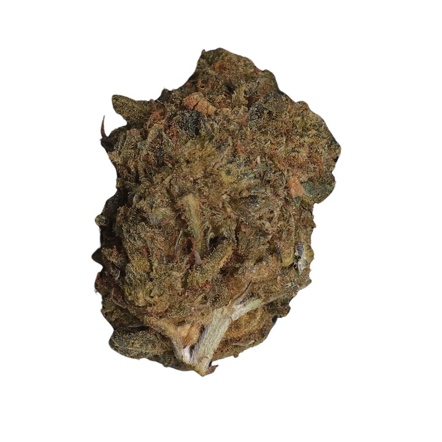 Amnesia