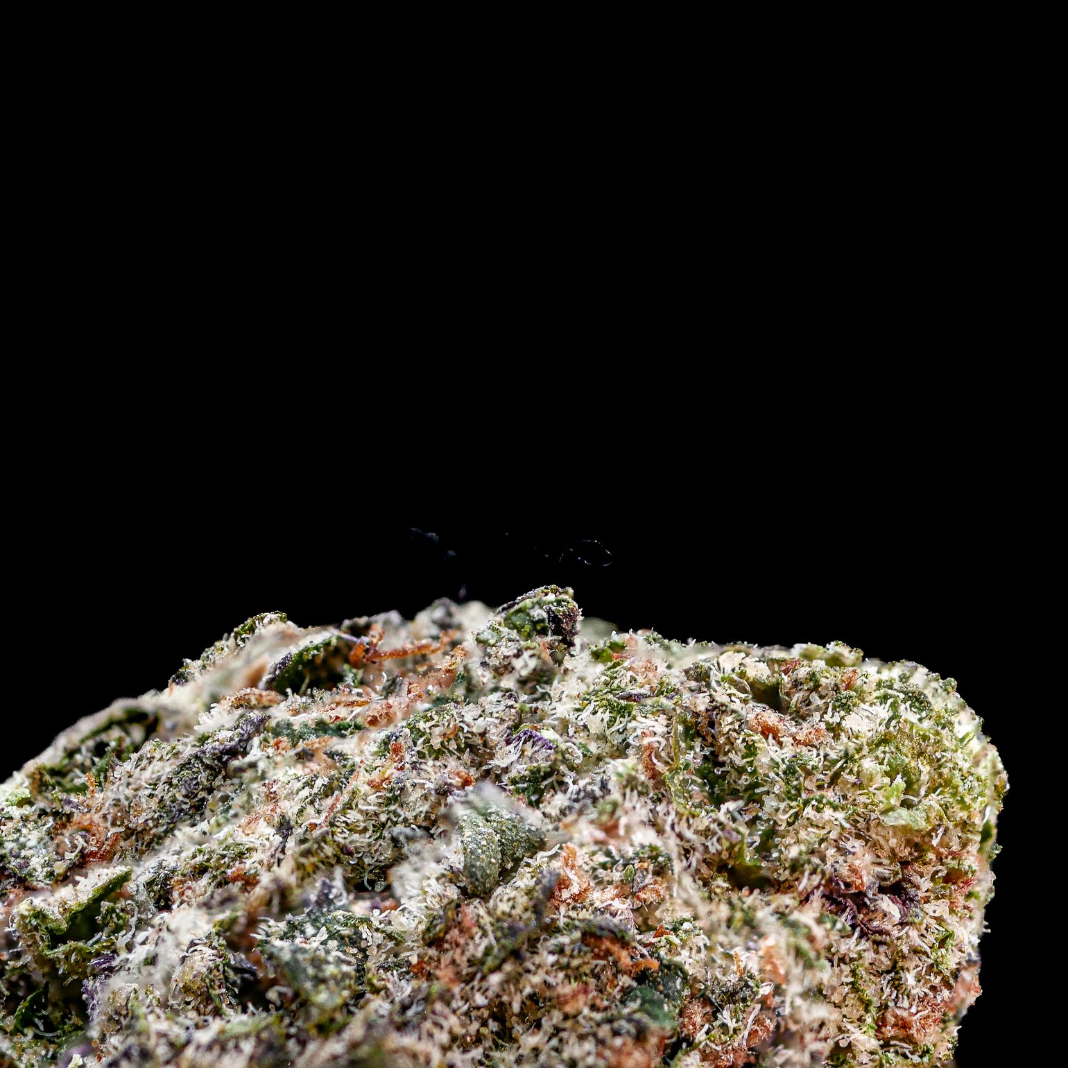 Blue Dream