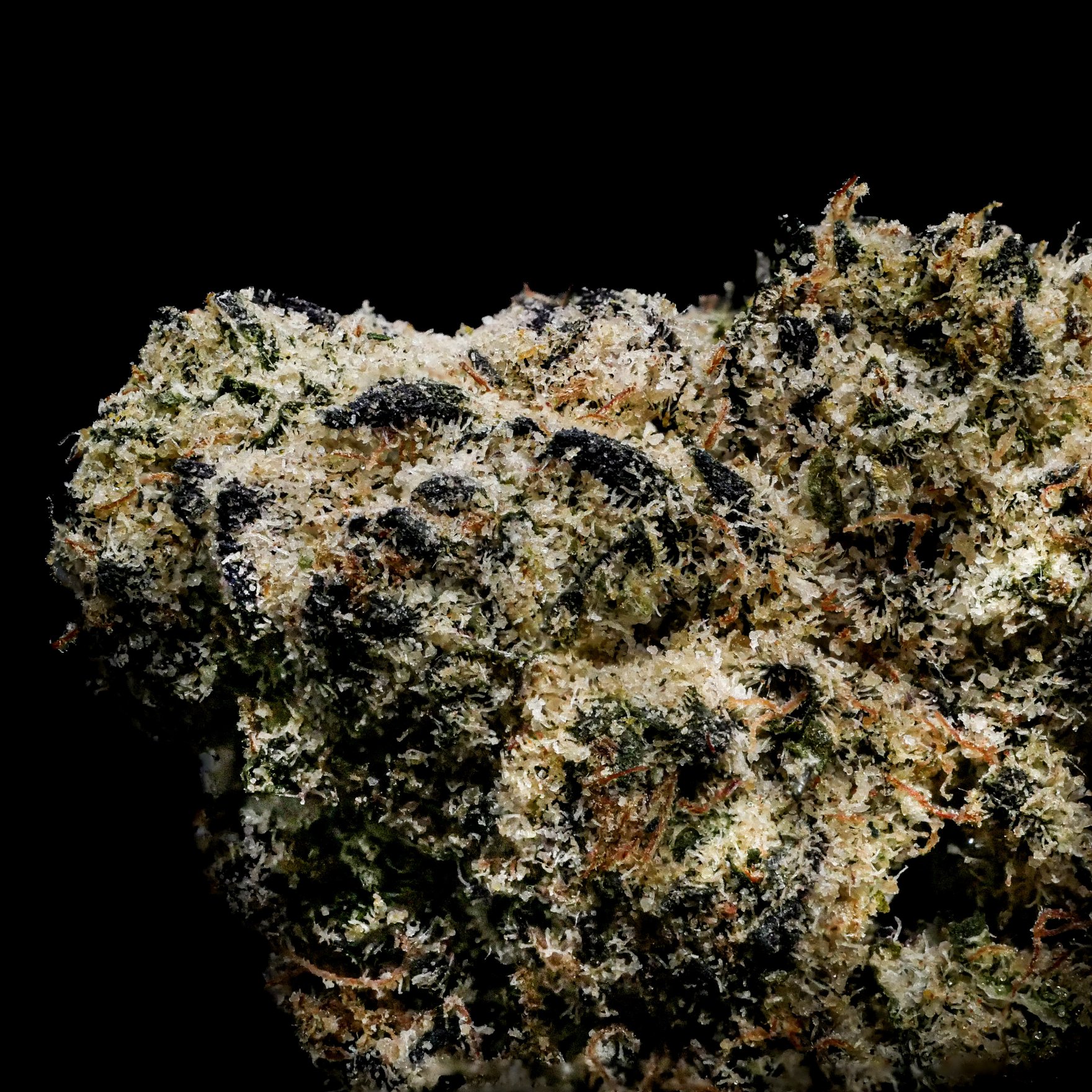 Blueberry Jam
