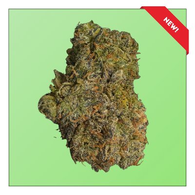 Dreadnaught OG