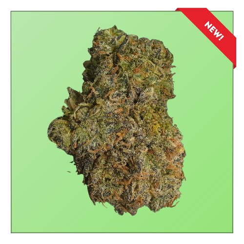 Dreadnaught OG