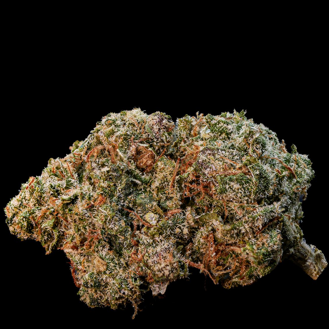 LEMON JACK