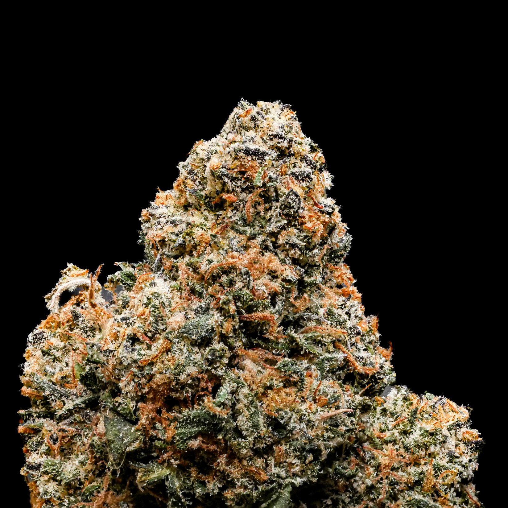 Orange Kush