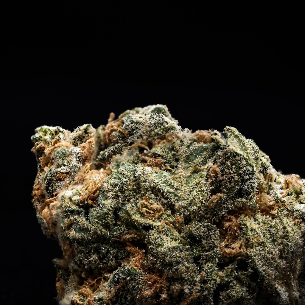 Meat Breath