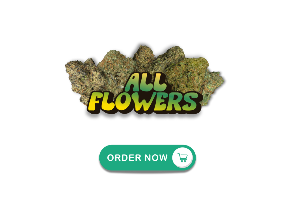 wowsaleflowerfrontimg (6).png
